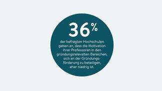 Motivation der  Professoren in den gründungsrelevalten Bereichen