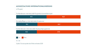 Ausgestaltung der Internationalisierung (Infografik)