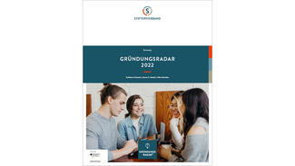 Summary in the English language